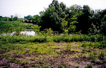 Pond from which ice blocks were removed for resale
