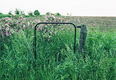 Stella's Front Gate to Her Buxton, Iowa Home